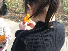 -南湖国家城市湿地公园