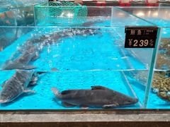 -艳阳天·非遗楚菜(武汉客厅店)