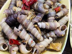 和味炒丁螺-贞姨美食·老字号海鲜大排档