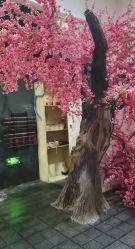 -盘子女人坊生日照·摄影馆(华强店)