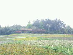 -保利石象湖景区