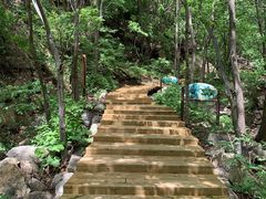-大岭沟猕猴桃谷风景区