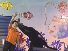 -太平洋海底世界