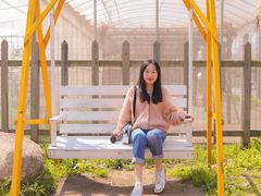 -前小桔亲子创意农场·草莓采摘·露营烧烤