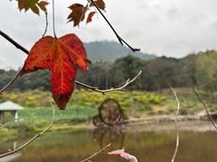 -广州市石门国家森林公园