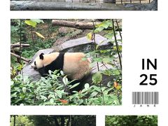 -红山森林动物园
