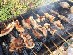 -丹世红酒庄·烧烤·团建·婚礼·水上运动