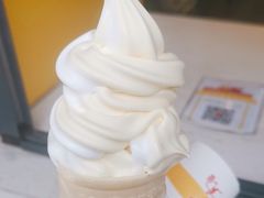 -麦当劳(南京路2店)