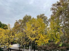 -大宅设计设计店铺(浦东店)