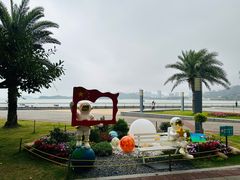 -野狸岛