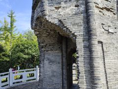 -上海佘山国家森林公园天马山园