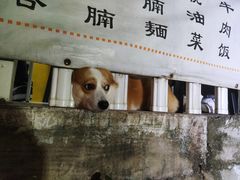 -小梁哥云吞面(黄贝岭店)