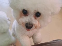 -喵宠乐园·撸猫互动·猫舍