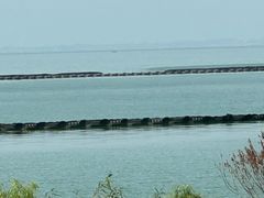 -合肥滨湖国家森林公园