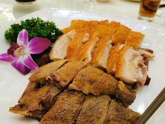 -龙悦湾酒家·八阵鱼生·渔人码头店