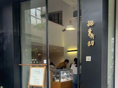 -猫里有甜