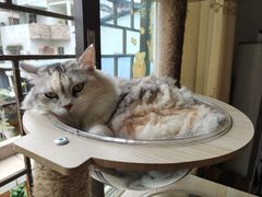 -番禺广场(市桥街道)