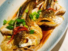 -33号大院·青岛本帮菜(五四广场店)