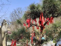 -终南山南五台景区