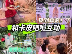 -正佳雨林生态植物园