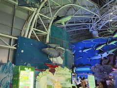 -烟台海昌鲸鲨海洋公园