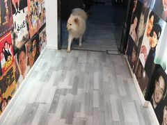-肆兮眼镜·蔡司·徕卡战略合作店(大坪店)