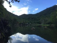 -呀诺达热带雨林