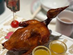 爆汁红烧鸽皇-大鸽饭(岗顶店)