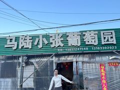 -马陆小张葡萄园农家乐