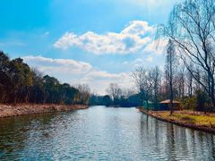 -溱湖国家湿地公园