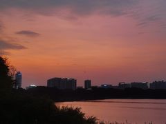 -海珠湖公园