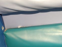 -卡通尼·Safari非洲探索乐园·生日会(金桥国际商业广场店)