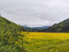 -墨石公园景区