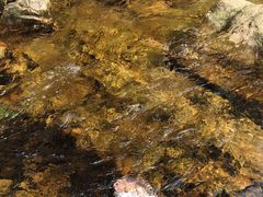 -亚婆田·白水寨生态旅游度假区