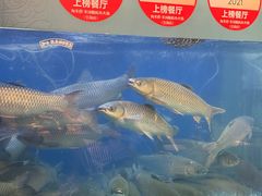 -淘米捞·米汤脆鲩鱼火锅(福田皇岗店)