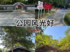 -清湖文化公园