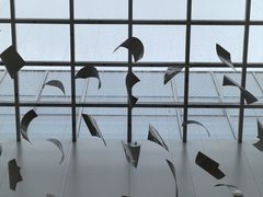 -朵云书院(滴水湖店)