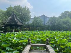 -上海醉白池公园