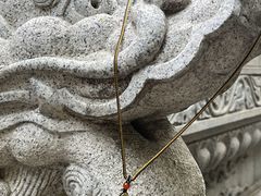 -西安大兴善寺