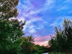 -永定河休闲森林公园