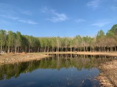 -东郊湿地公园