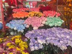 -越秀西湖花市(广州城市广场花卉店)