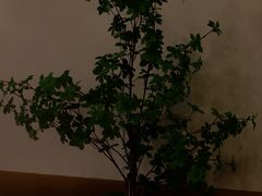 -Reset Coffee 与海咖啡