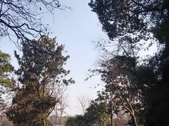 -苏州上方山国家森林公园