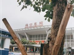 -海口东站