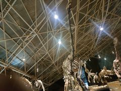 -世界恐龙谷景区