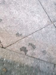 点击看大图 -丝源发型