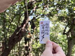 -灵顺寺