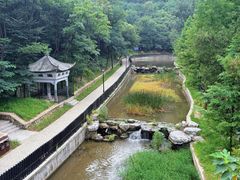 -白水寺森林公园