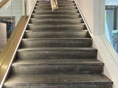 -陆声·LandSoundMusic(西溪谷店)